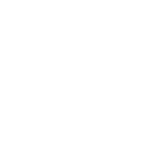 RaysRays.png