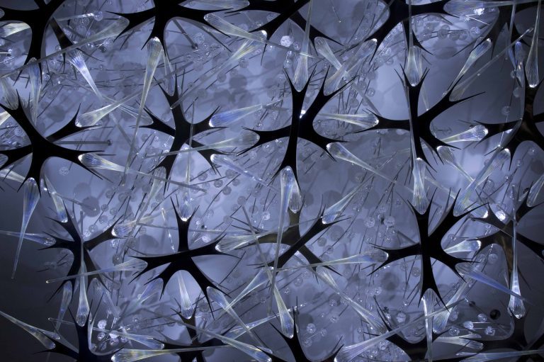 David Gappa’s “Introspection” at The University of Texas Dallas’ Center for BrainHealth